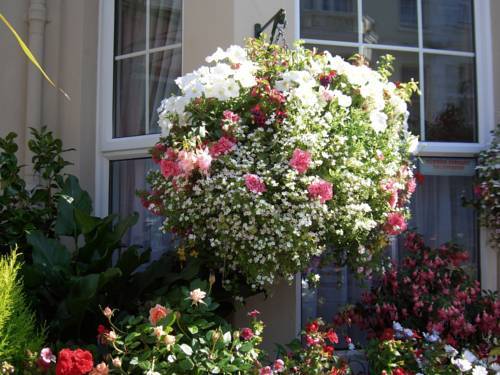 Loriston Guest House Истборн Екстериор снимка